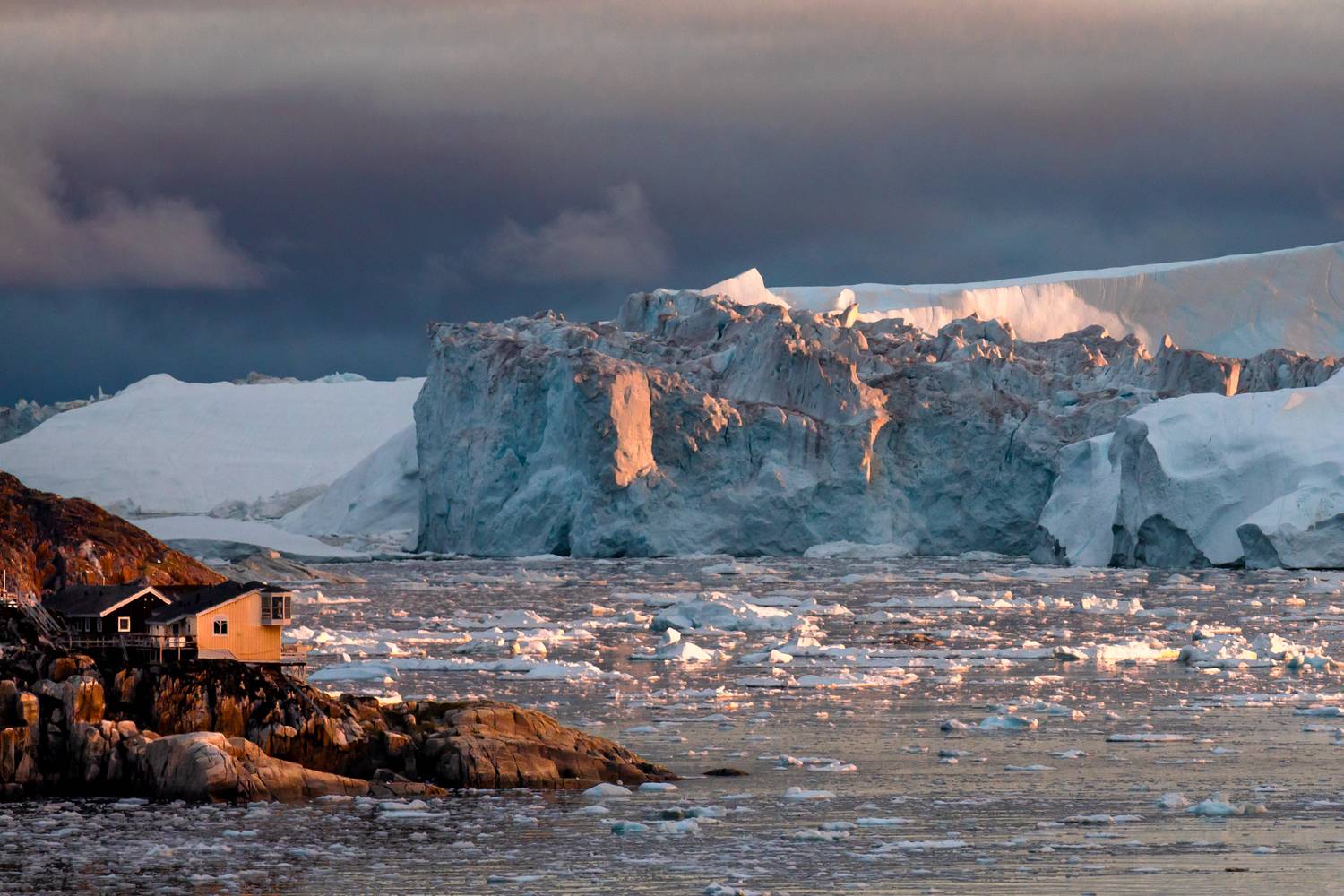 , Евгения Чех