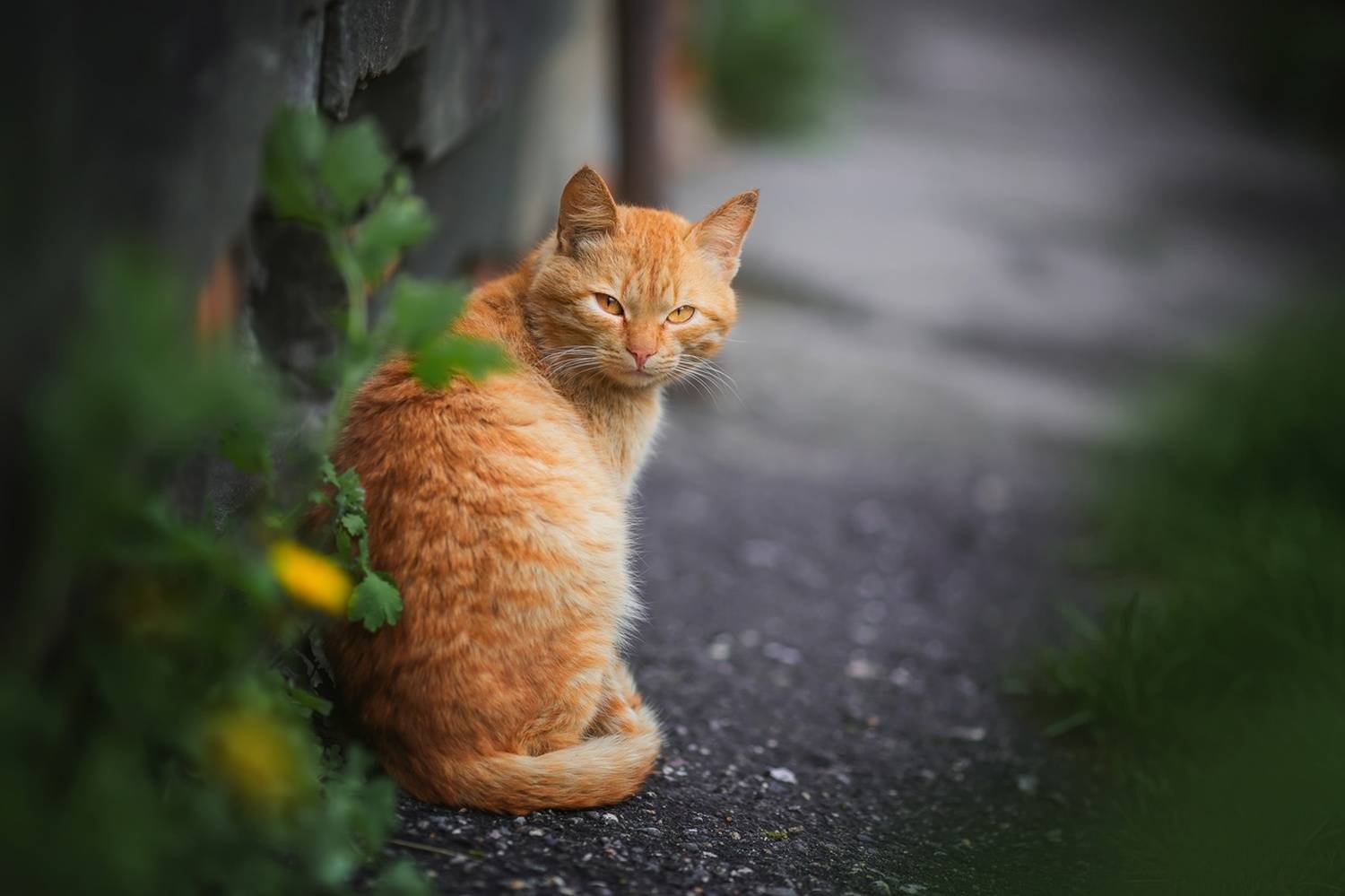 , Наталия Матвеева