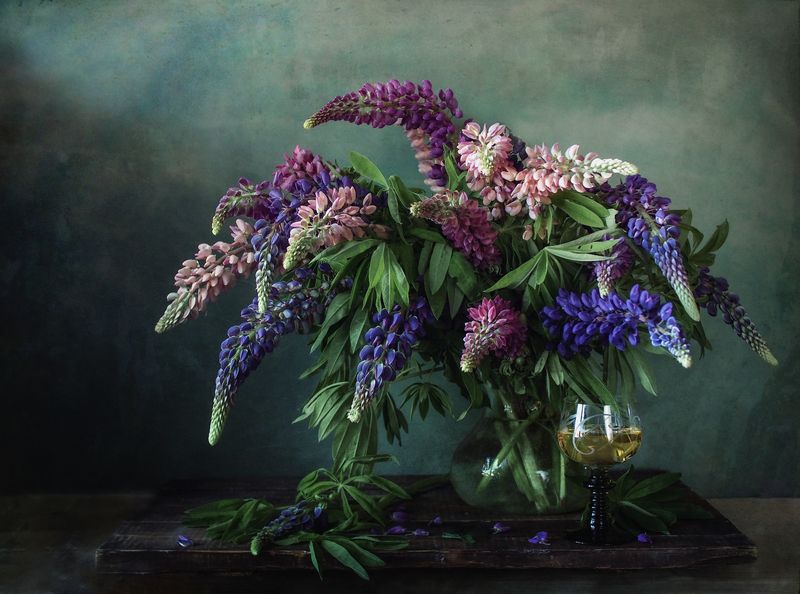 Плавные изгибы люпинов. фото превью