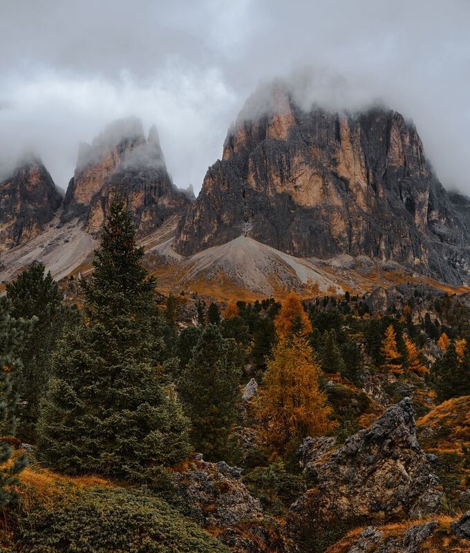 Ели у горы фото превью