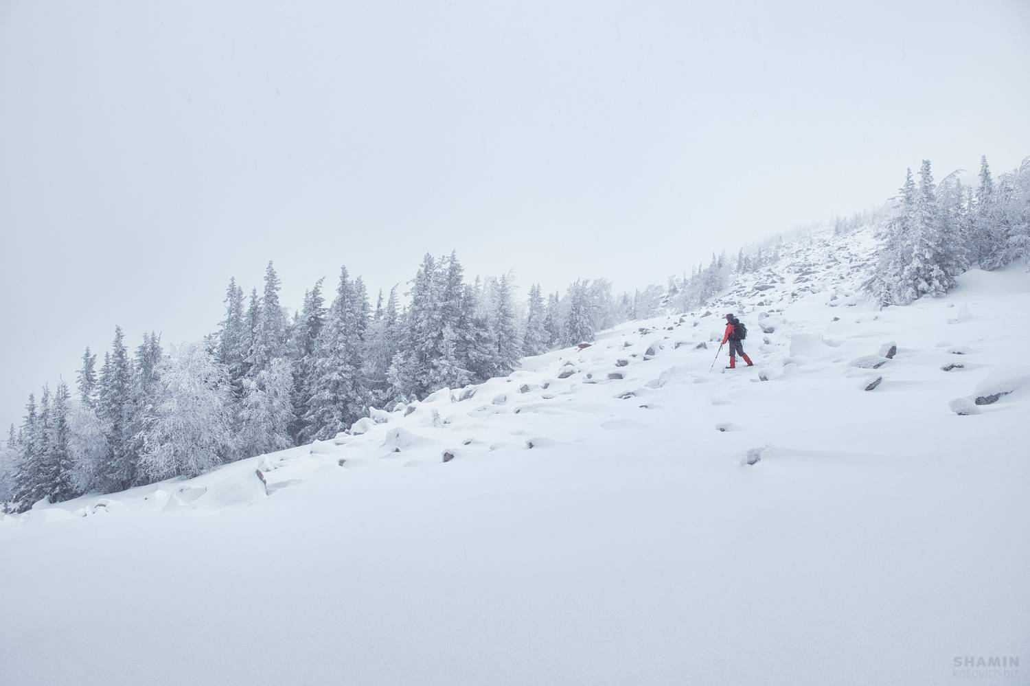 , Константин Шамин