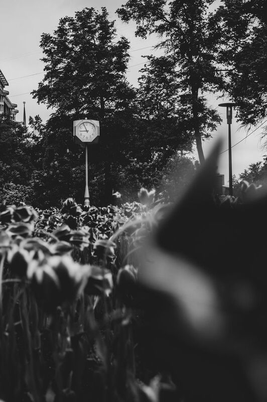 P367 фото превью