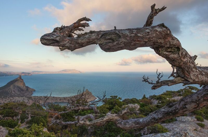 крым, новый свет, судак, пейзаж, горы, море, landscape, crimea, крымский пейзаж, sanset Охота новосветского дракона фото превью