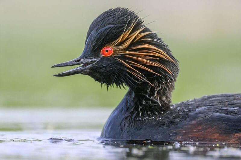 Веселое настроение фото превью