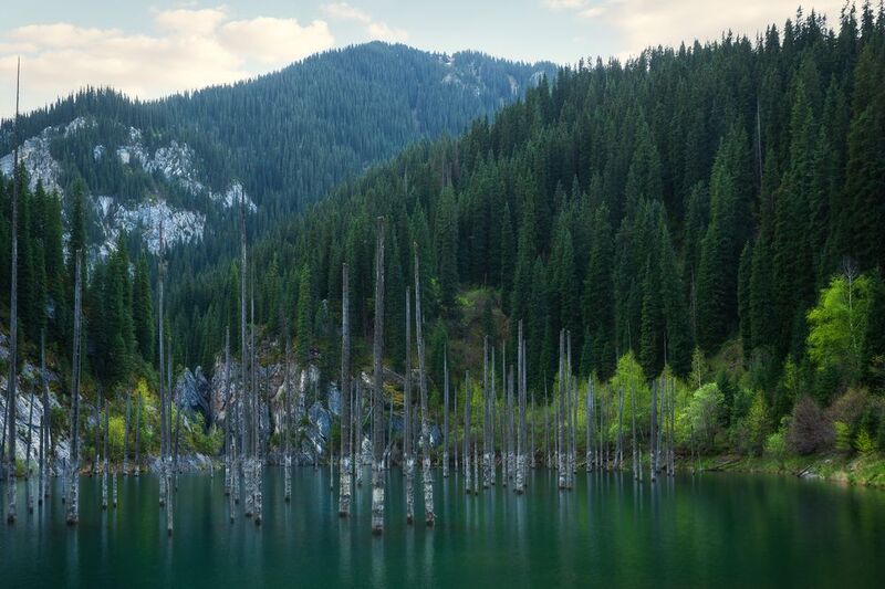 Безмолвие фото превью