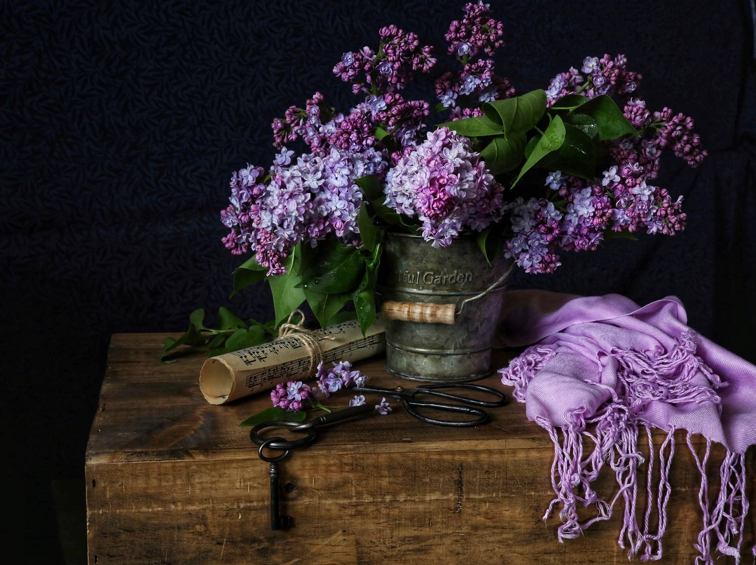 натюрморт, сирень, Angelica Medvedeva