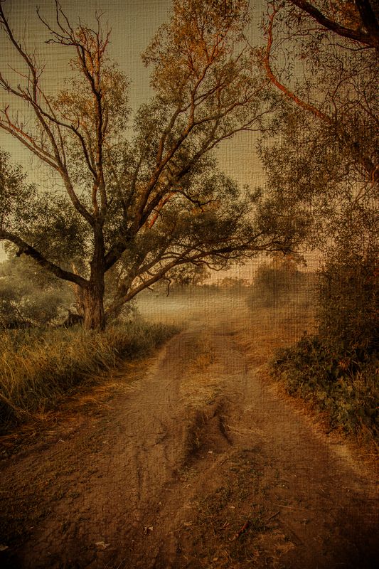 Туманное фото превью