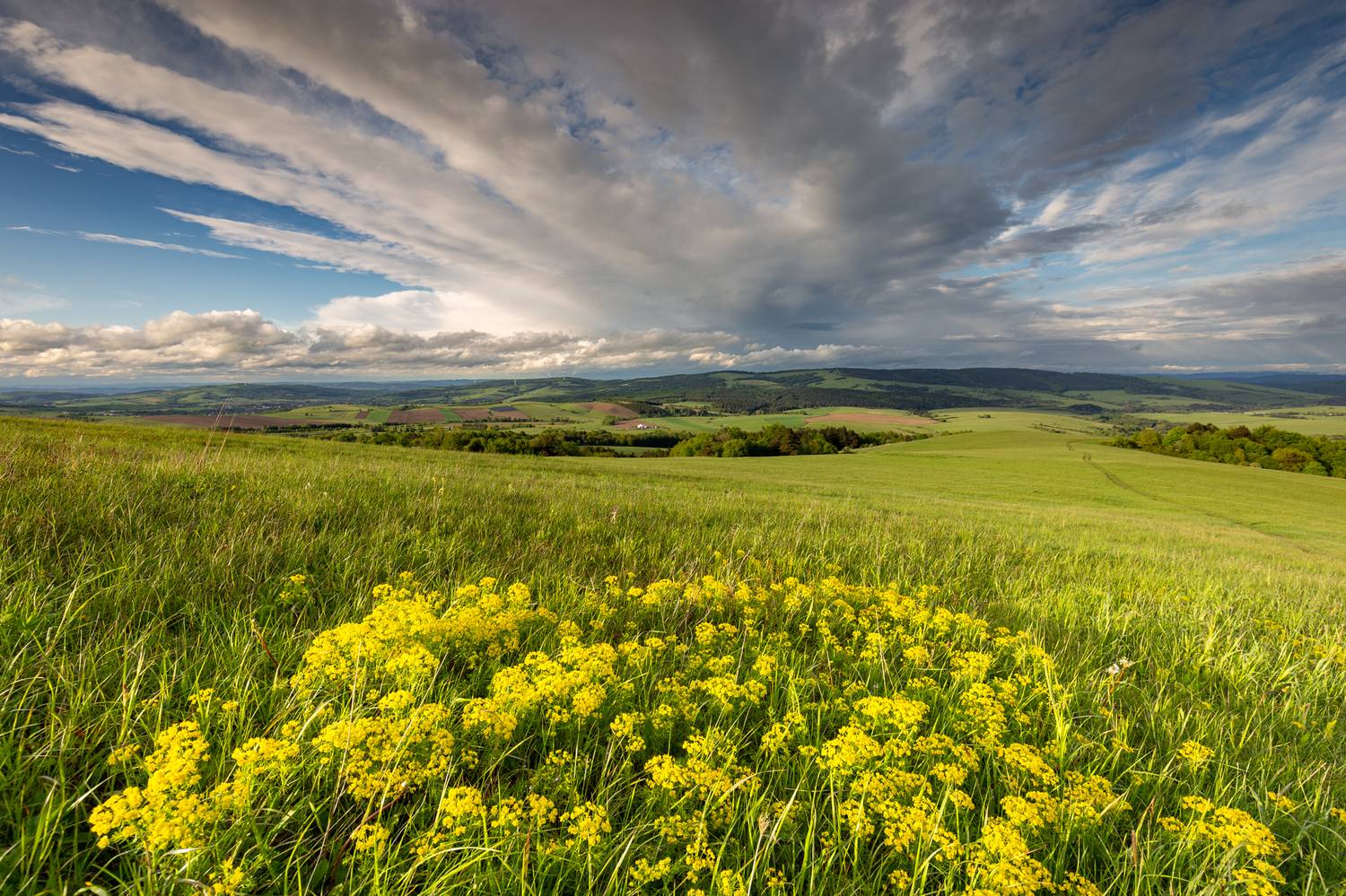 ,  Mirosław Pruchnicki