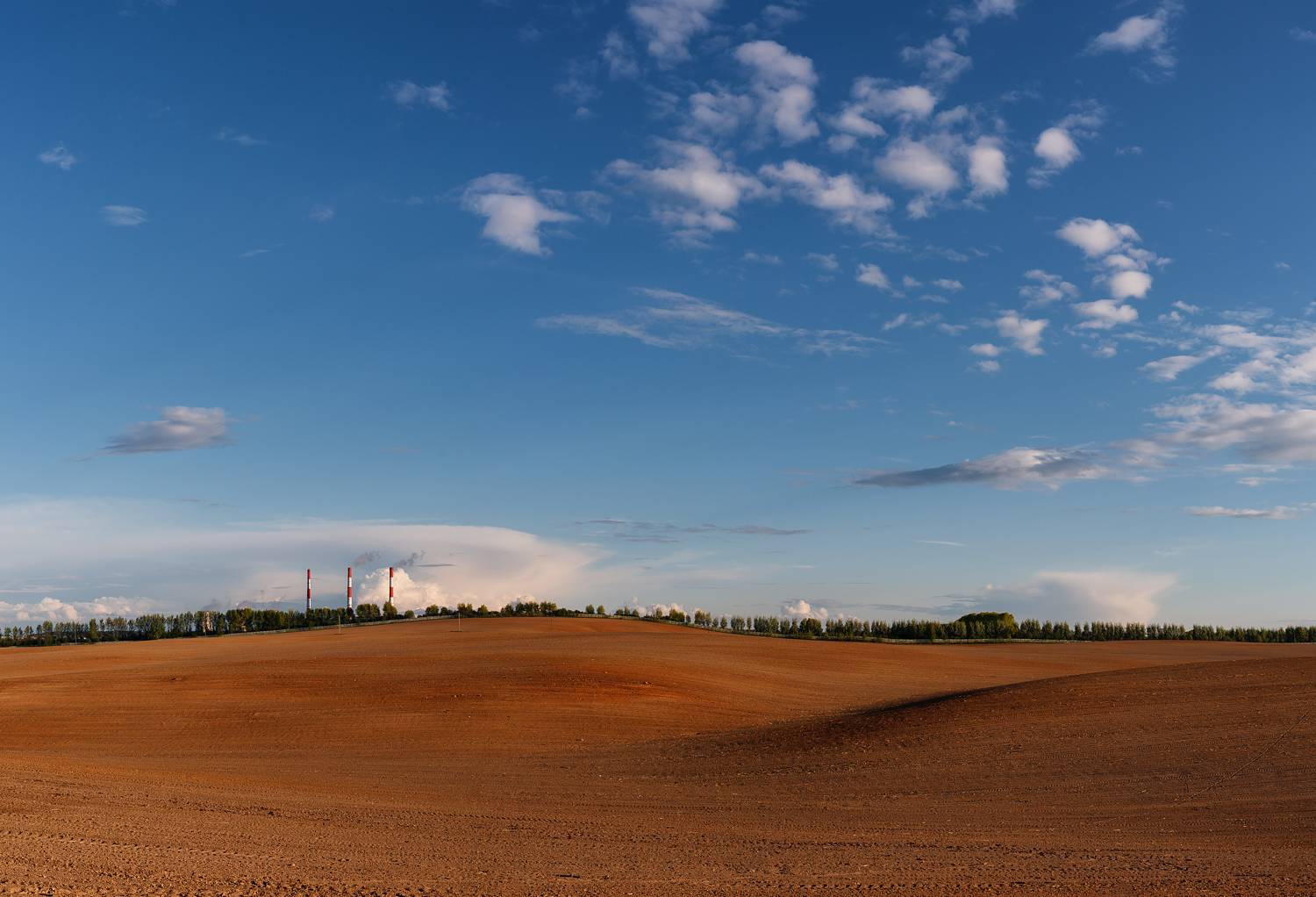 весна май  вечер  поле пейзаж панорама, Карабинов Дима