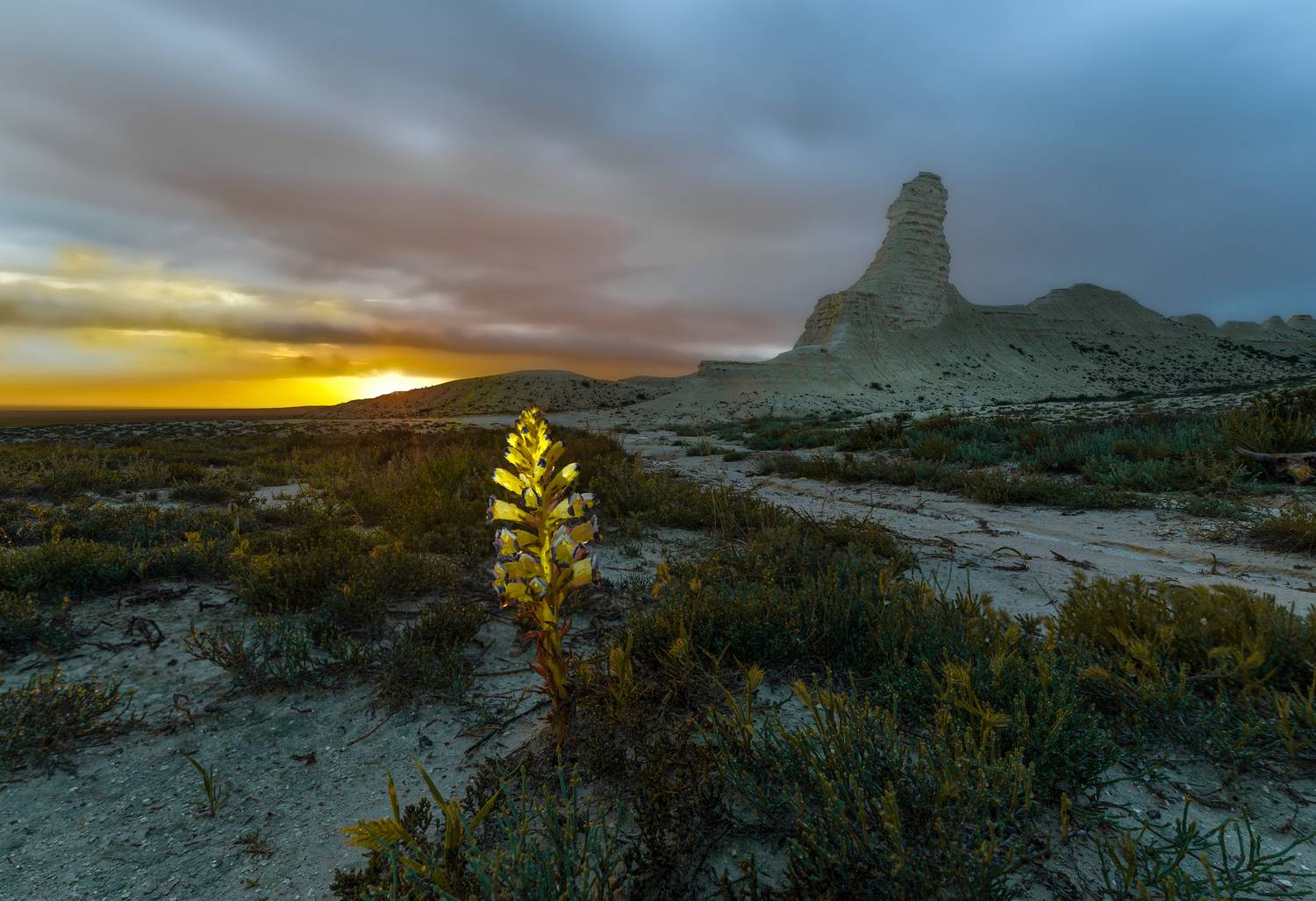, Валерий Одинцов
