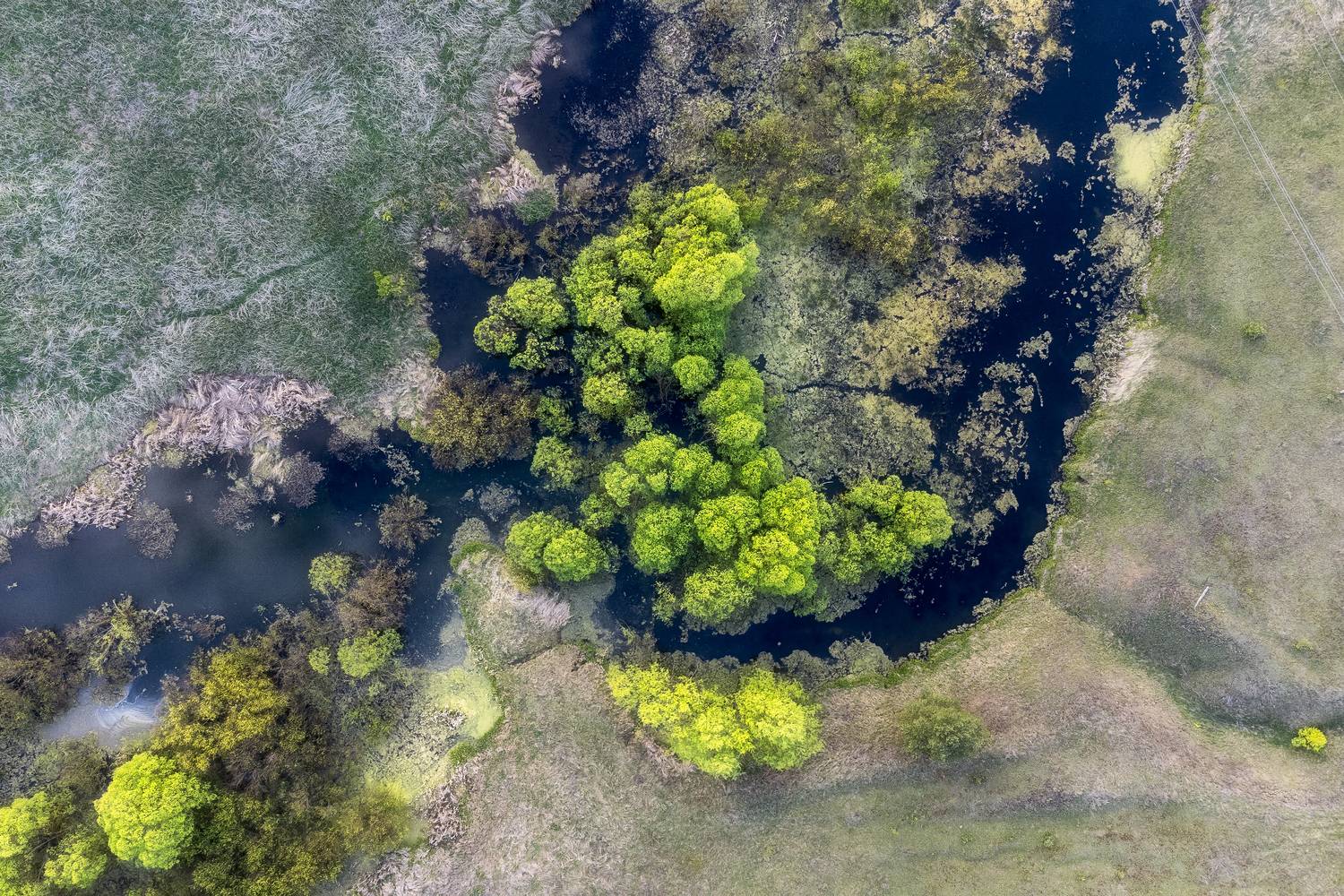 пейзаж, река, природа, dji, Мартыненко Дмитрий