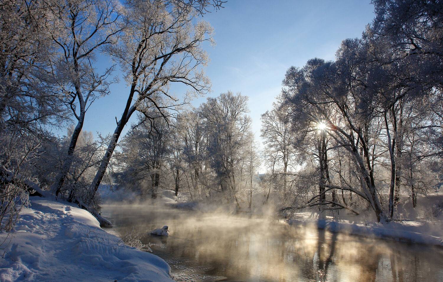 мороз, иней, река истра, зима, Медведев Александр