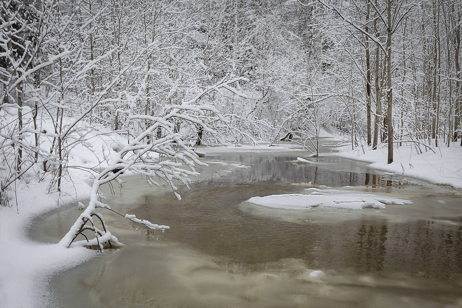 ,  александр михайлов