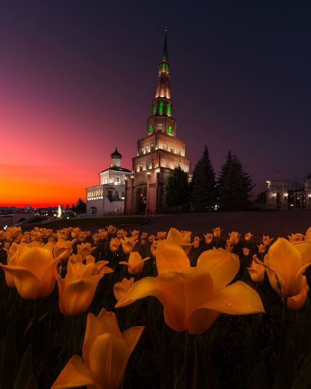 Тюльпаны в Кремле фото превью