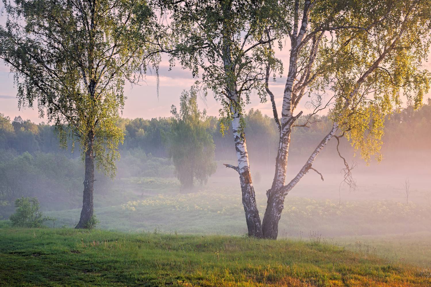 , Евгений Ерохин