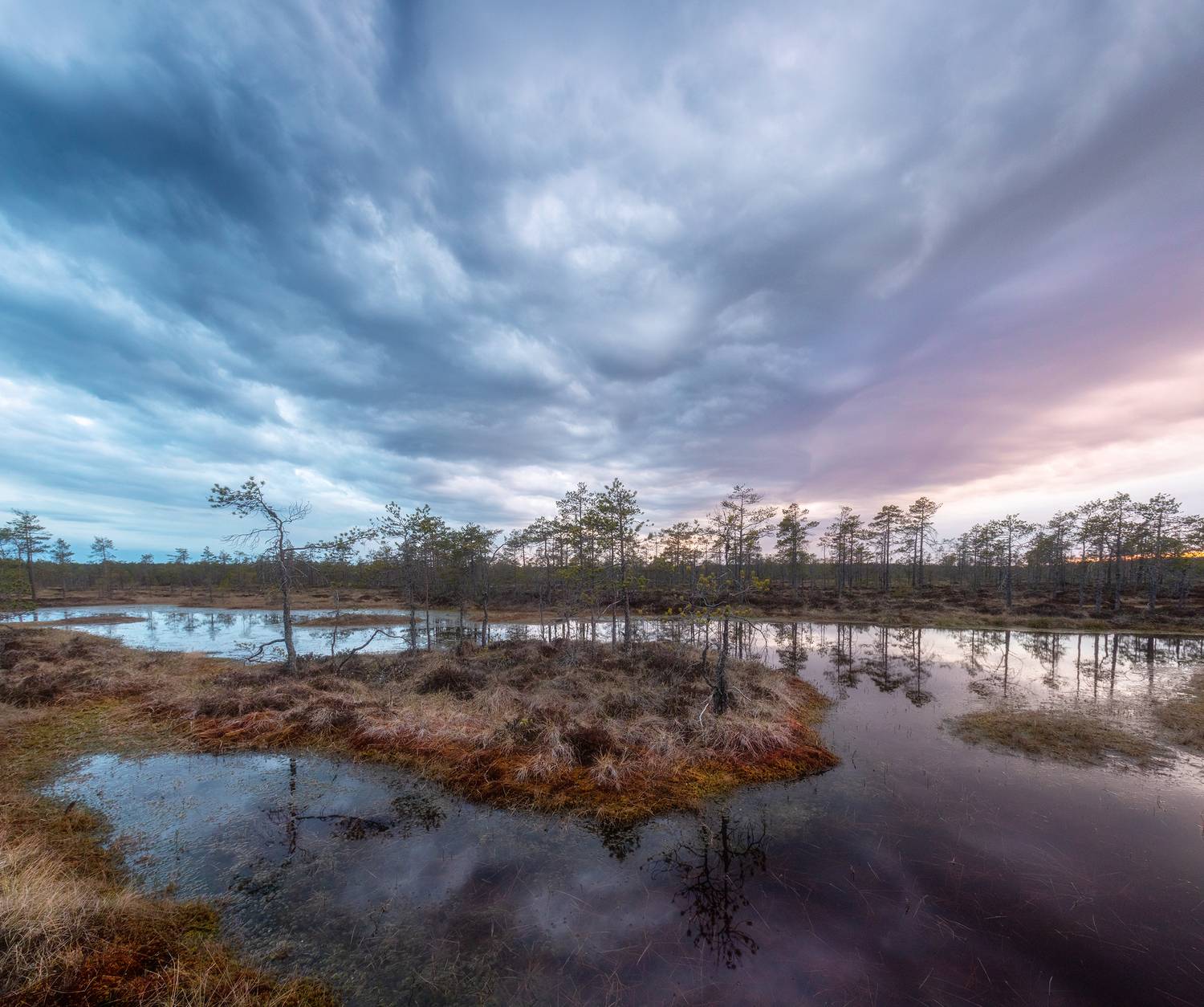 болото, карелия, весна, утро, рассвет, фототур, Павел Ващенков