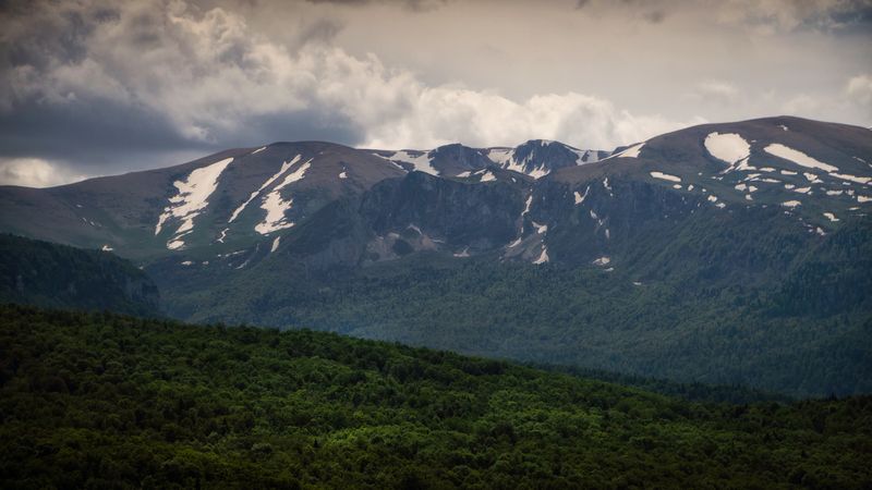 Фишт фото превью