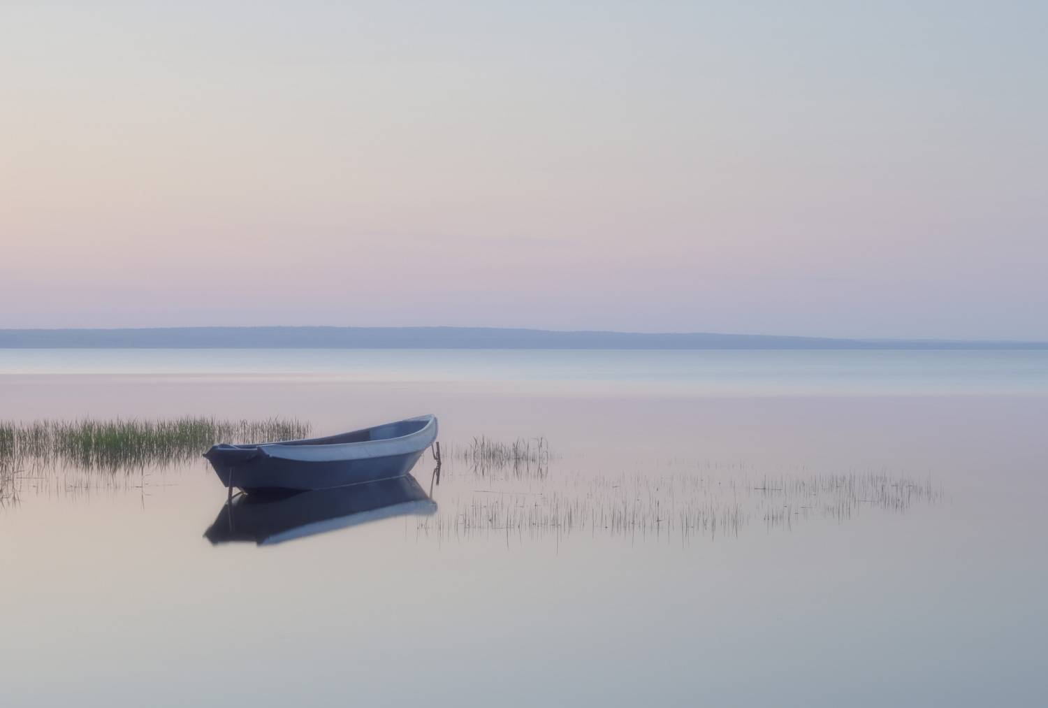 , Бонина Ольга