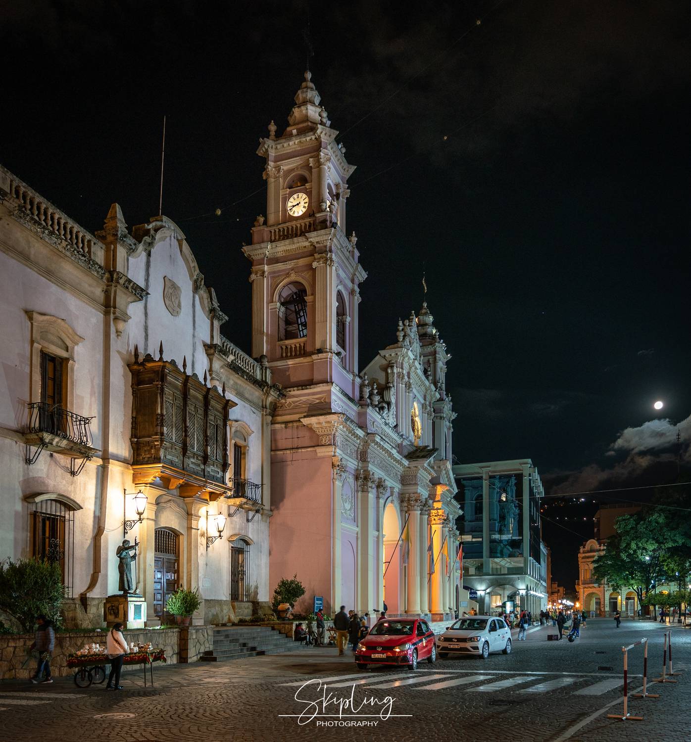 сальта, Ганюшкин Владимир