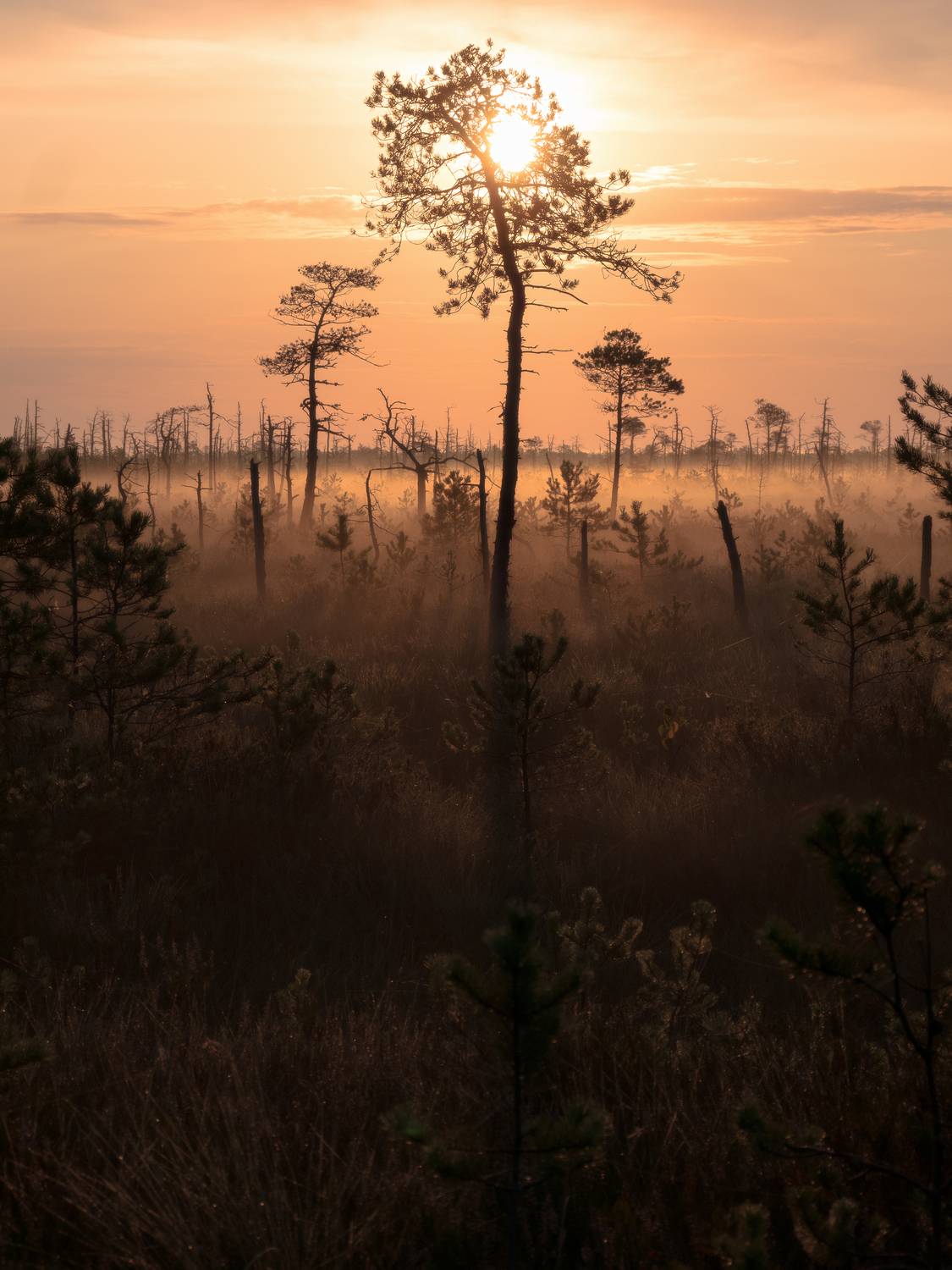 Пейзаж , Врубель Андрей
