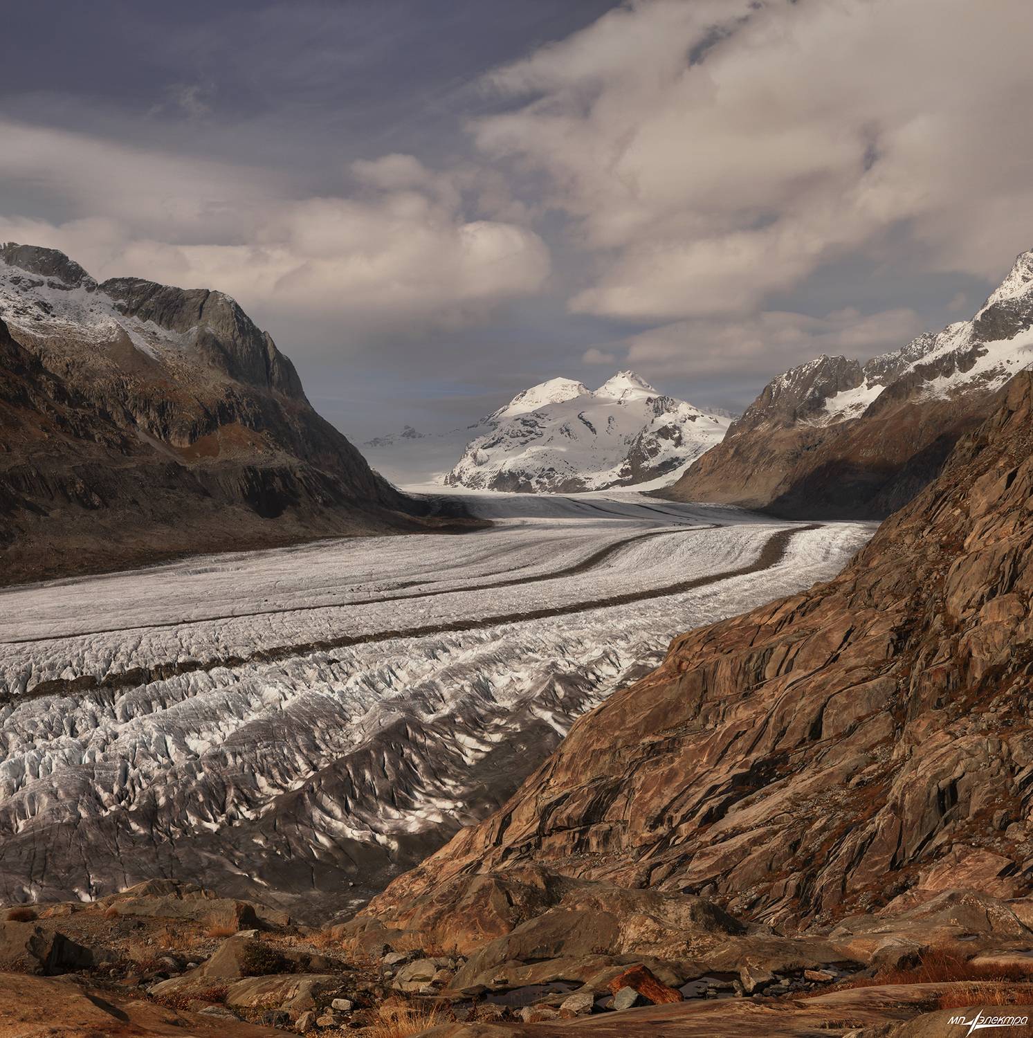 swiss, Матвеев Николай