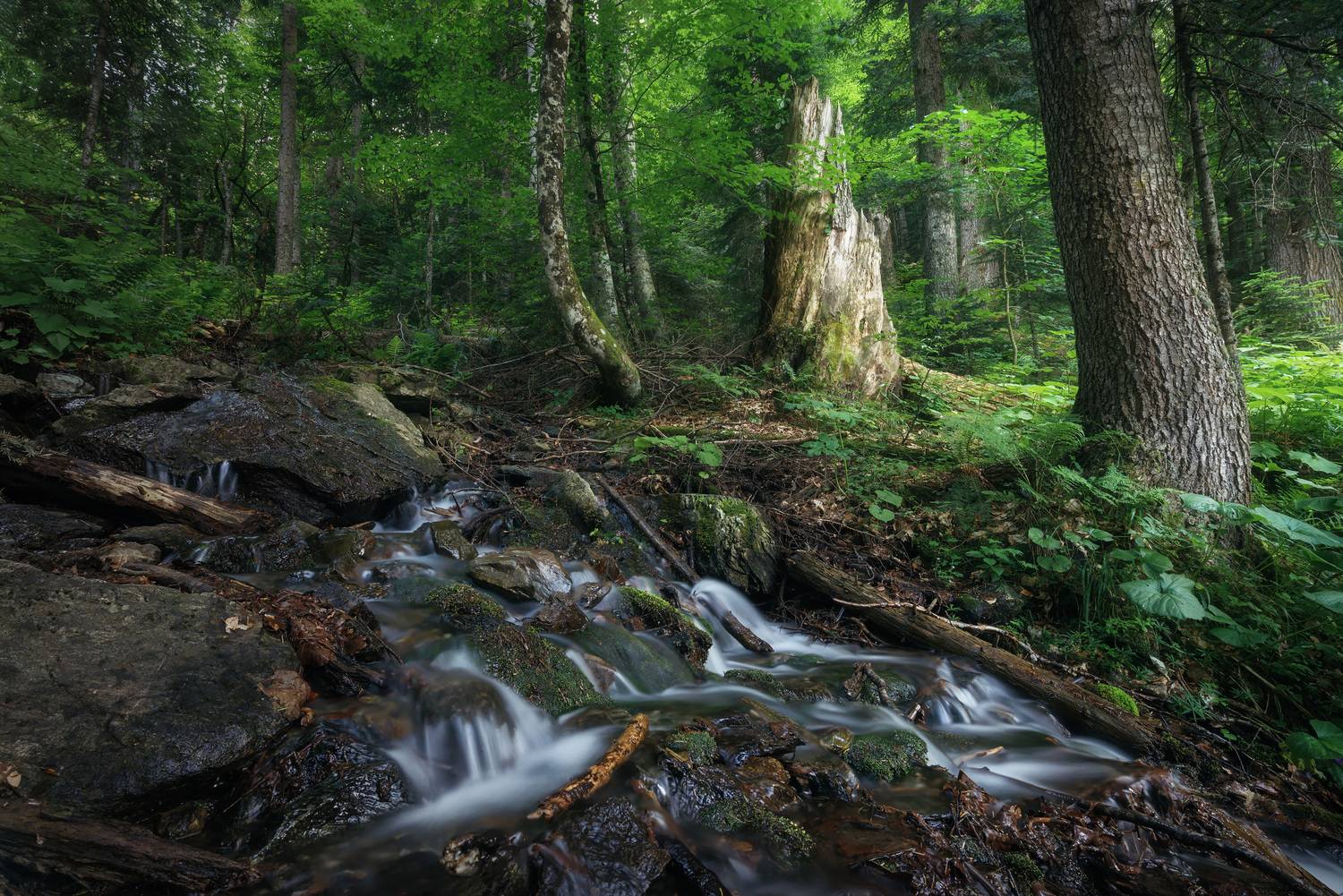 , Смольский Евгений