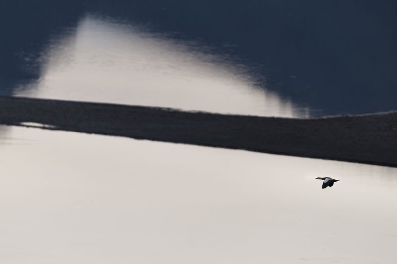 красноярское море, красноярский край, геометрия Геометрия мира фото превью