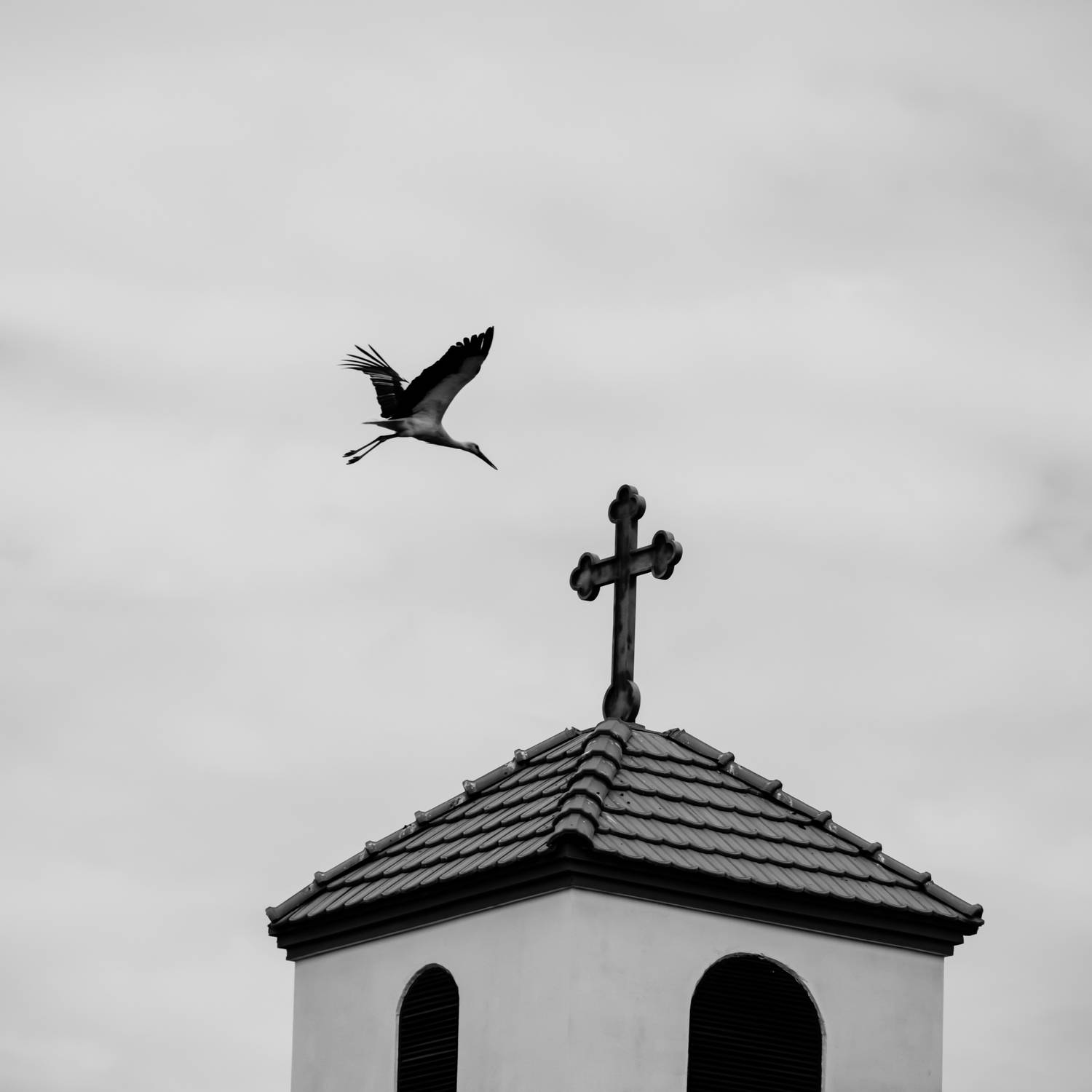 , Александр Шилов