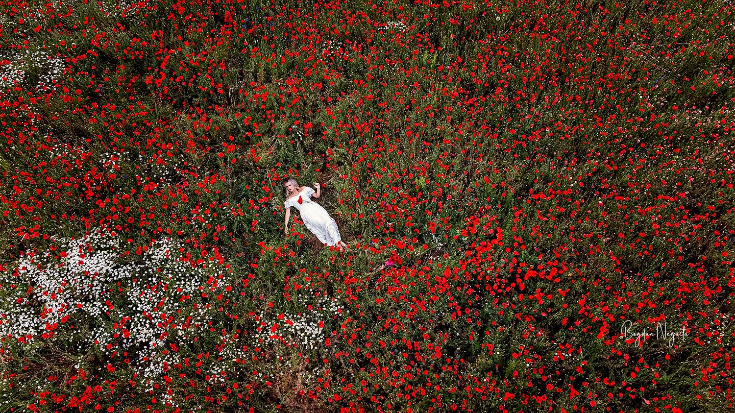 drone photography, poppy field, woman in white dress, aerial portrait, spring meadow, fine art photography, nature and human, red flowers, romantic imagery, peaceful landscape, conceptual drone shot, floral texture, elegant composition, harmony with natur, Bogdan Negoita