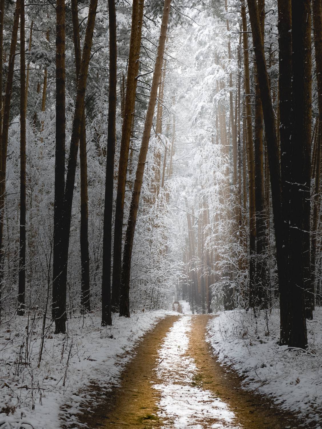 , Konstantin Martynov