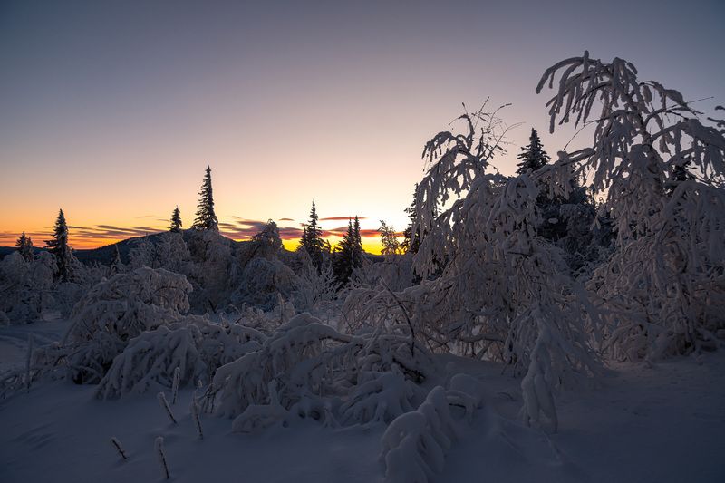 ******* фото превью