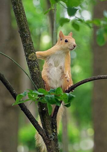 Всегда на страже