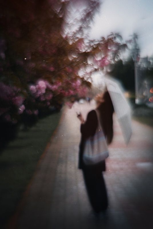 весна, город, городское, пейзаж, природа, сакура, дикая вишня, цветение, красота, очарование, очарование, розовое, атмосферное, мануальное, уличное фото, репортаж, люди, повседневная жизнь, чудо, винтажная оптика, мануальное, юпитер-3, гелиос 44-2, jupite В раскатах цветения Керченской сакуры. фото превью