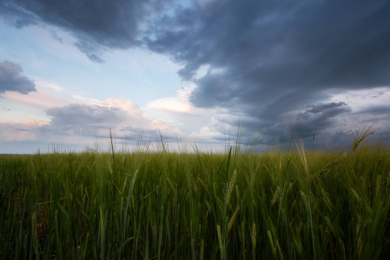 , Павел Абакумов