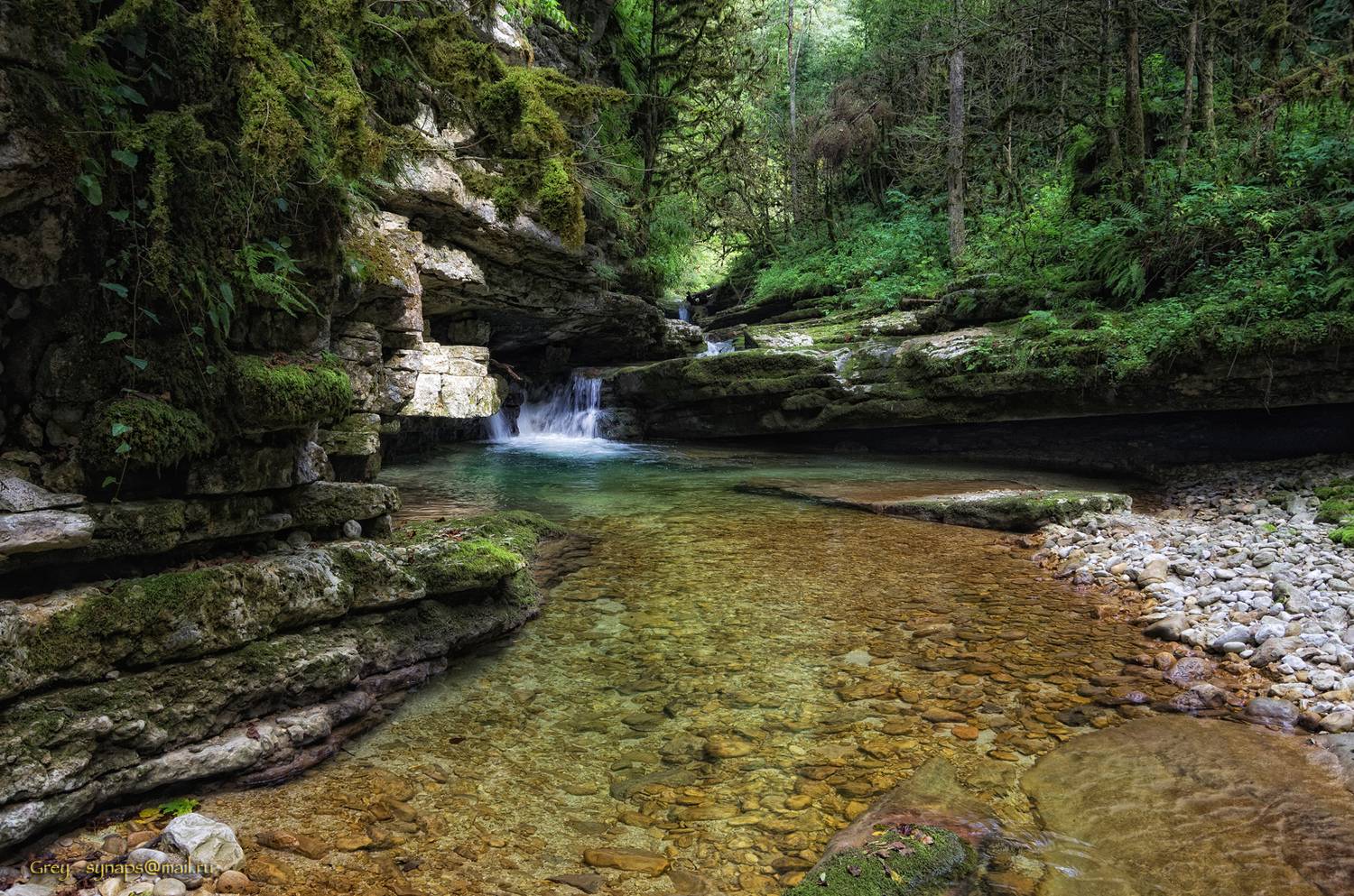 , Сергей Павлов