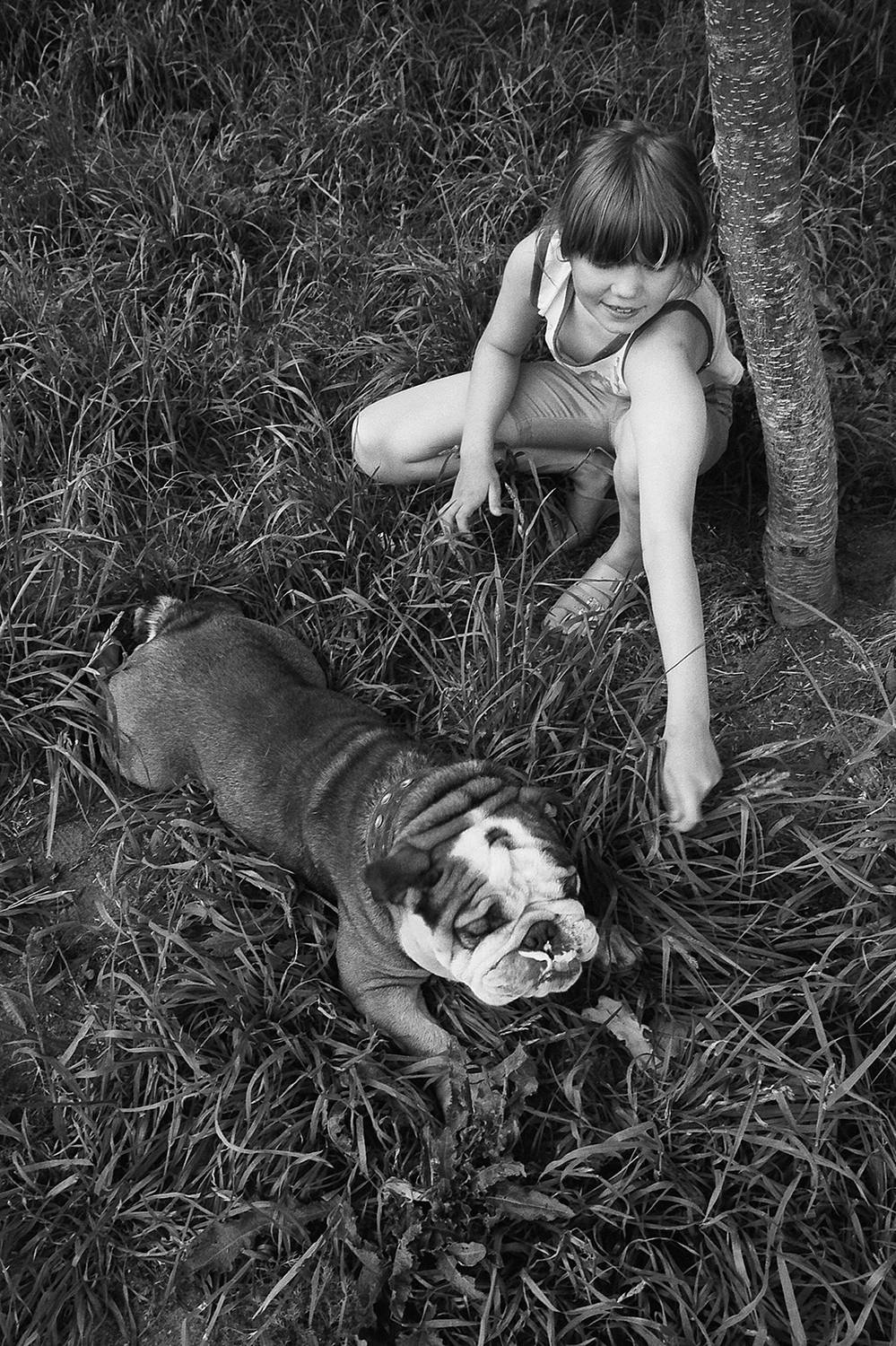 собака, бульдог, чб, апатиты, Николай Смоляк