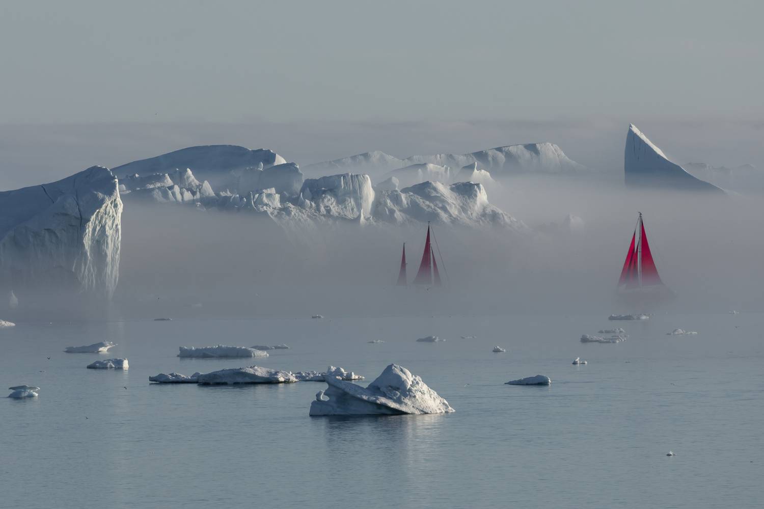 , Евгения Чех