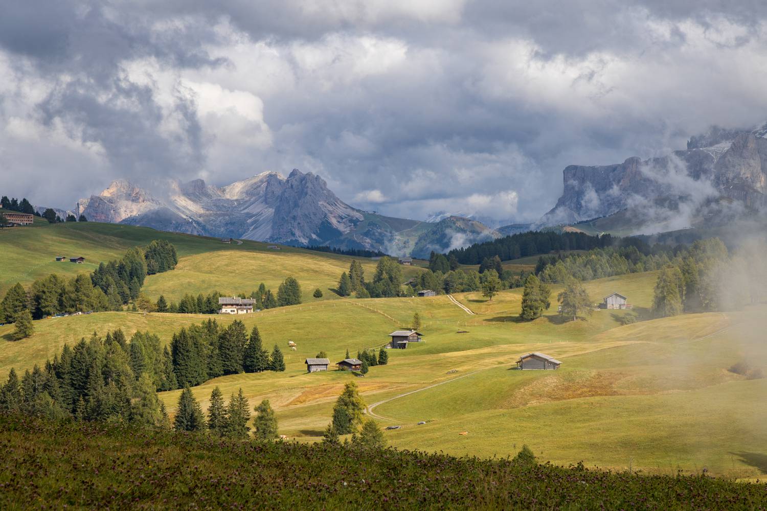 , Алекс Римский