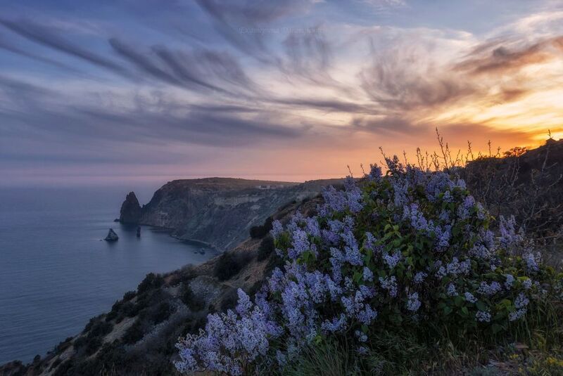 крым, закат, сирень, фиолент, море, севастополь, пейзаж, весна, горы Сиреневый закат фото превью