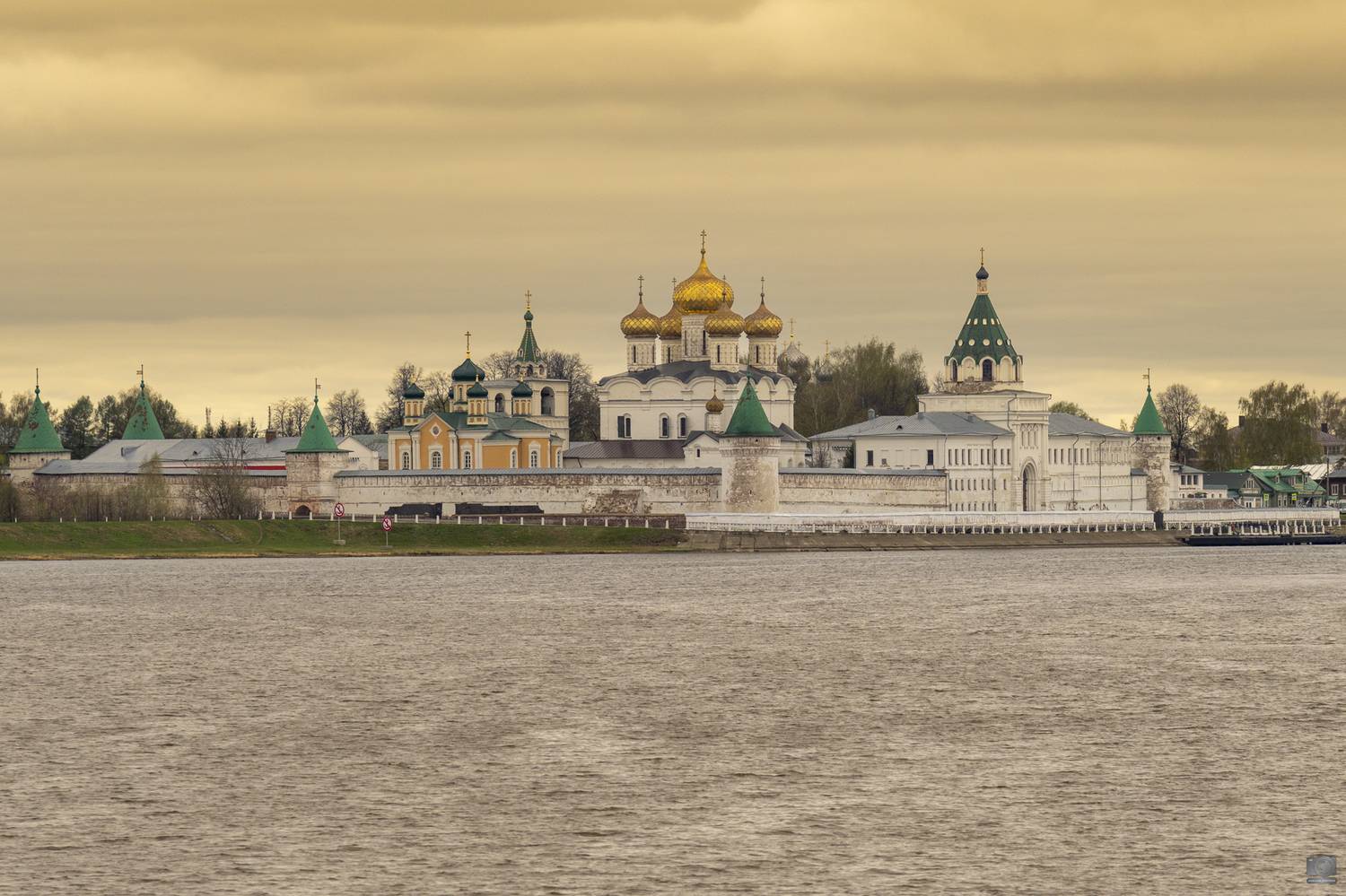 кострома, Ковалев Дмитрий