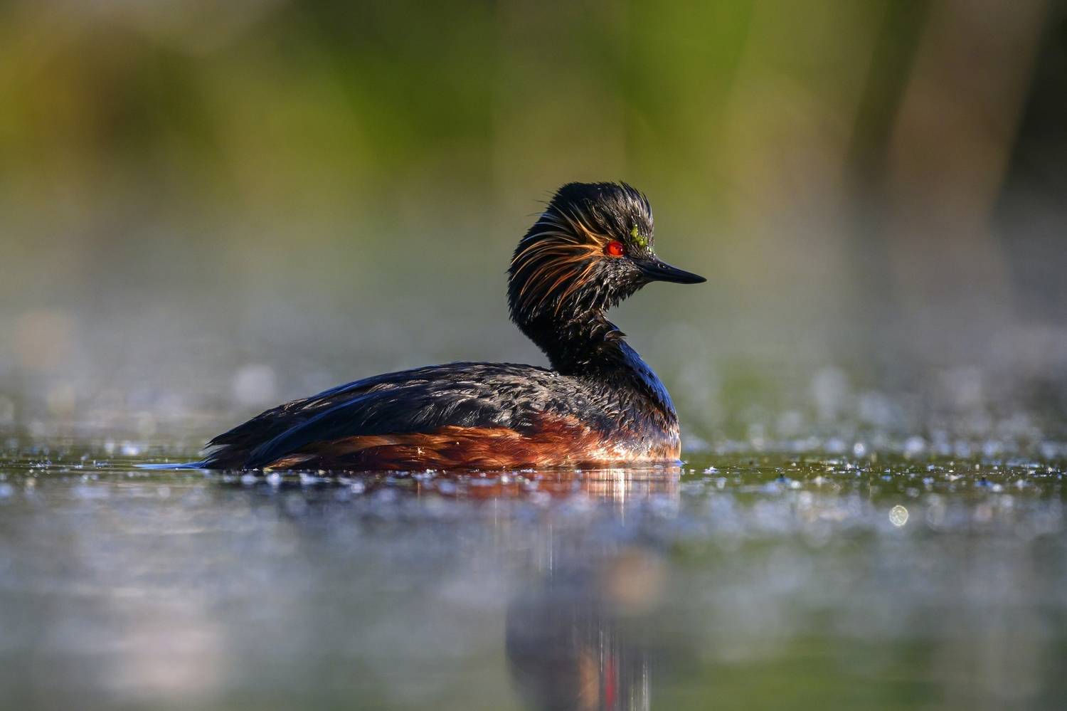 , Пупонин Сергей