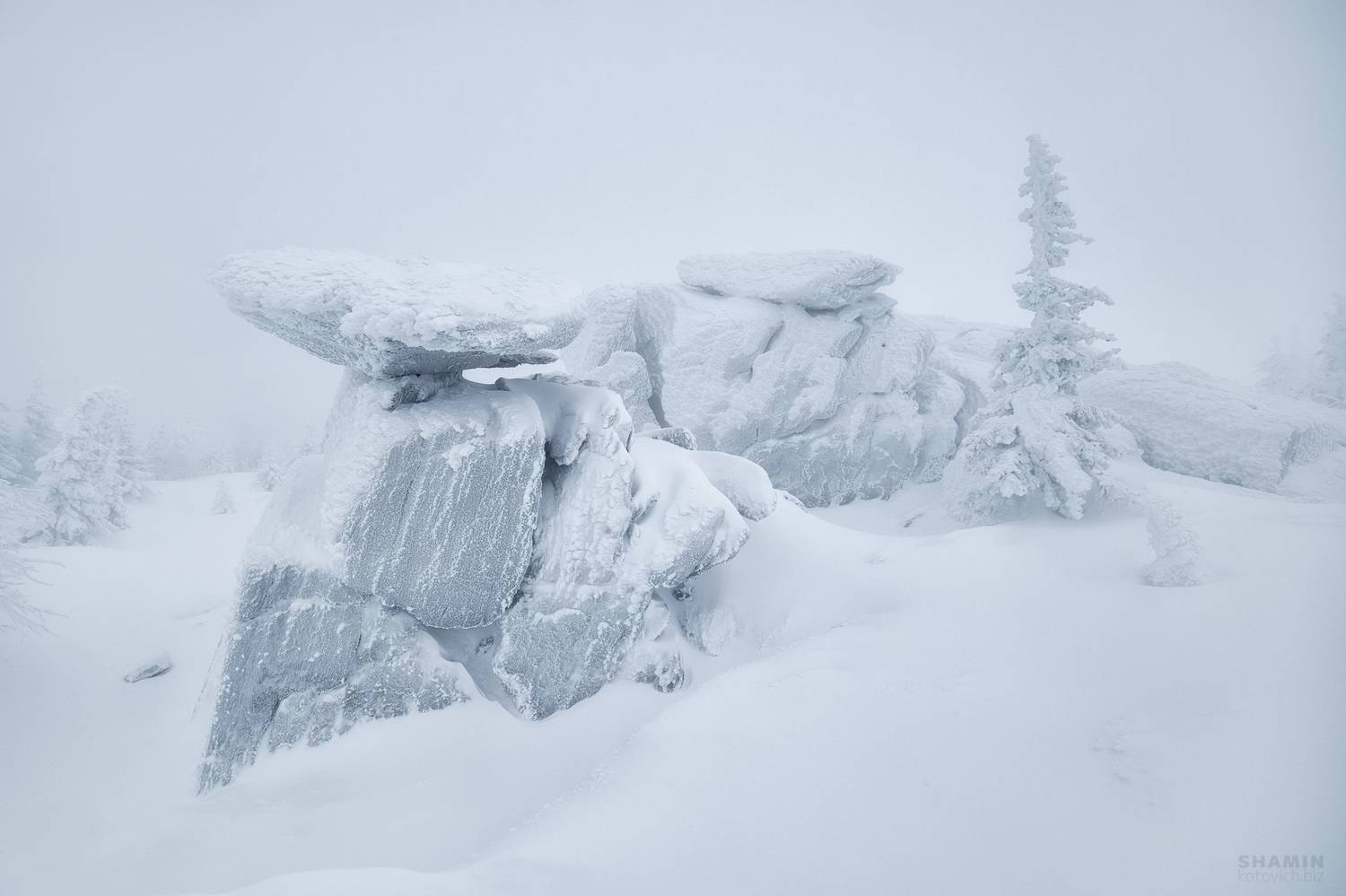 , Константин Шамин