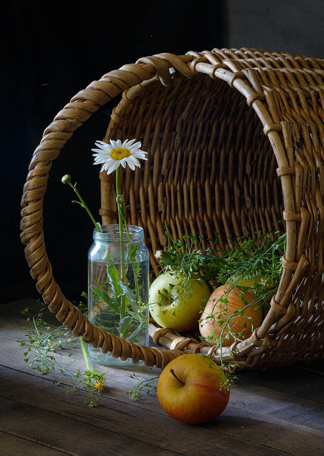 ромашка, корзина, цветы, одуванчик, пастушья сумка, банка, вода, яблоки, Алексей Бычков