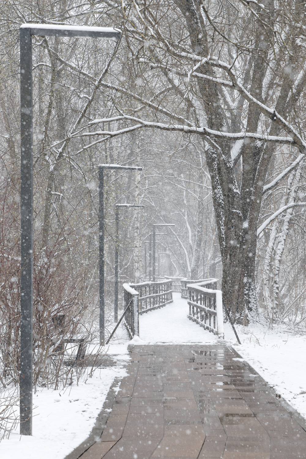 , Светлана Грянкина