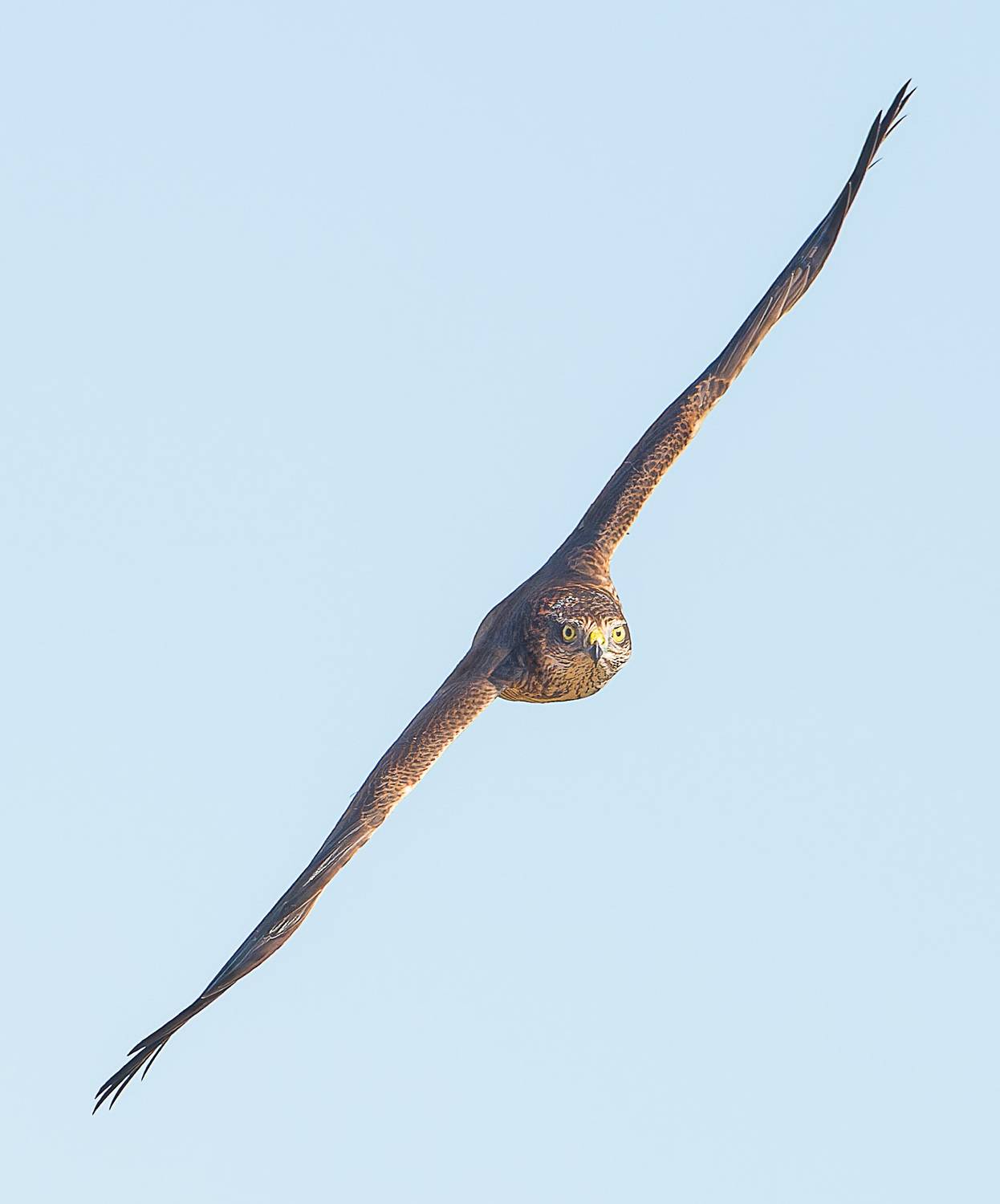 , Фото Александр