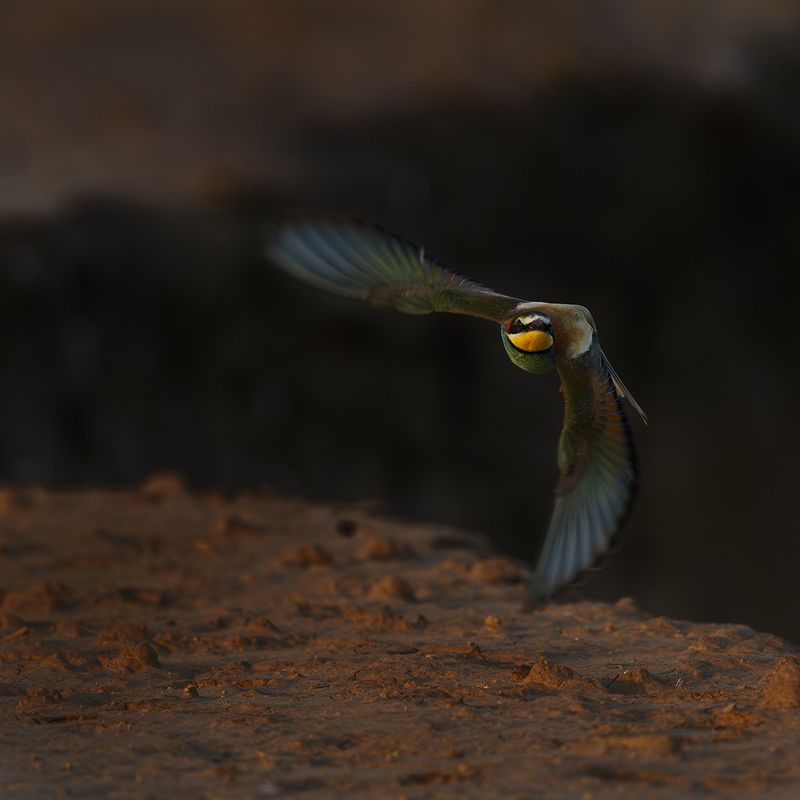 *** фото превью