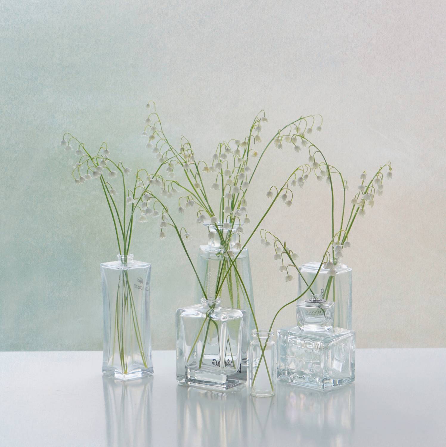 , Хохлова (Ермохина) Наталья