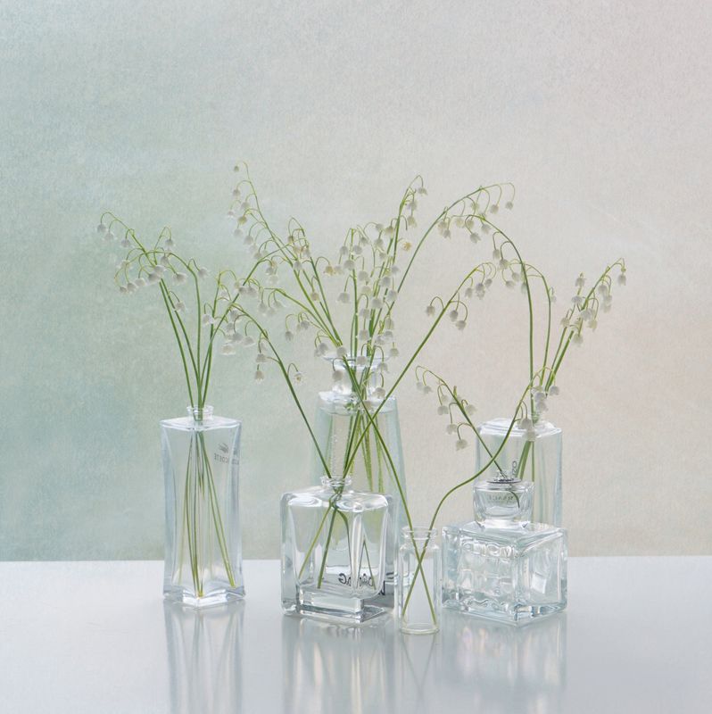 Ландыши фото превью