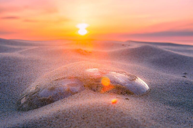 Сердце песка фото превью