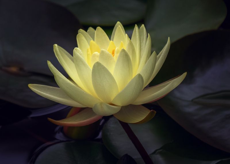 Вечерний свет. фото превью